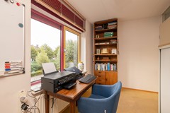Vrouwenmantel 81  Schoonhoven 048.jpg